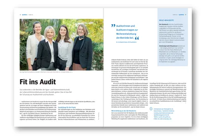 Qualitas Fit Ins Audit