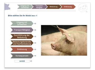 24 XX XX E Learnig Tiertransport