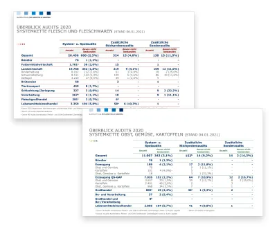 21 02 11 Auswertungen QS Audits