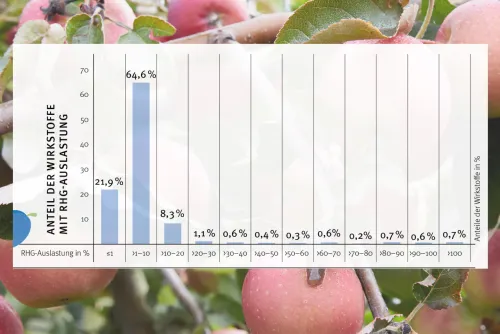 Zum Vergrößern auf die Grafik klicken