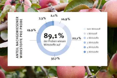 Zum Vergrößern auf die Grafik klicken