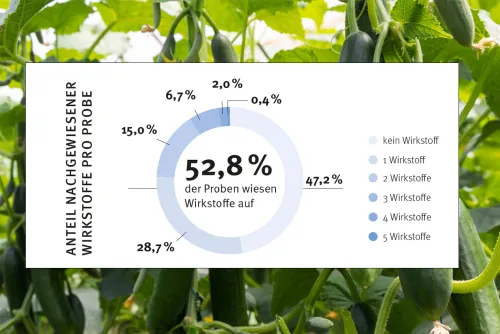 Zum Vergrößern auf die Grafik klicken