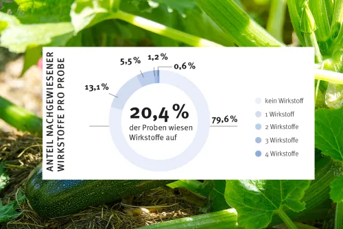 Zum Vergrößern auf die Grafik klicken