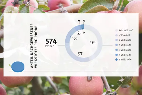 Zum Vergrößern auf die Grafik klicken