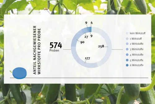Zum Vergrößern auf die Grafik klicken