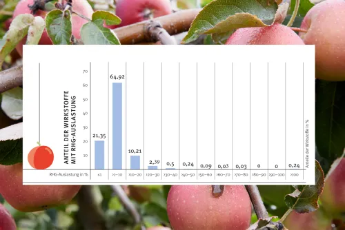 Zum Vergrößern auf die Grafik klicken