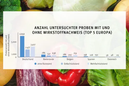 Zum Vergrößern auf die Grafik klicken