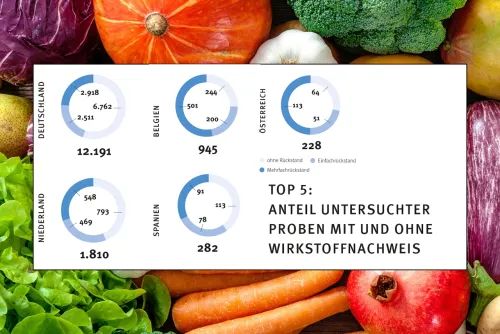 Zum Vergrößern auf die Grafik klicken