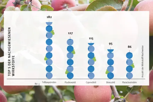 Zum Vergrößern auf die Grafik klicken