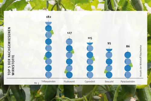 Zum Vergrößern auf die Grafik klicken