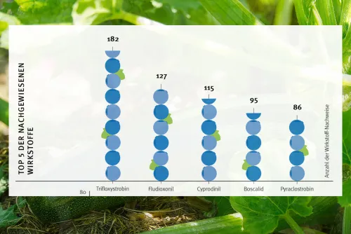 Zum Vergrößern auf die Grafik klicken