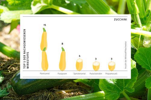 Zum Vergrößern auf die Grafik klicken