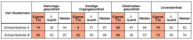 Muster eines Berichts zum TGI – Indices für die Lieferungen an verschiedene Schlachtbetriebe