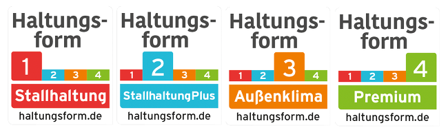 Vier Stufen Der Haltungsform