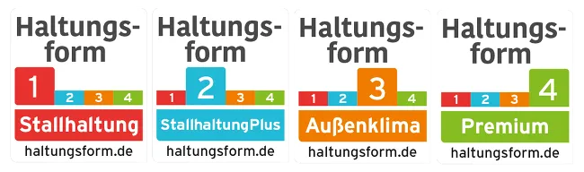 Vier Stufen Der Haltungsform