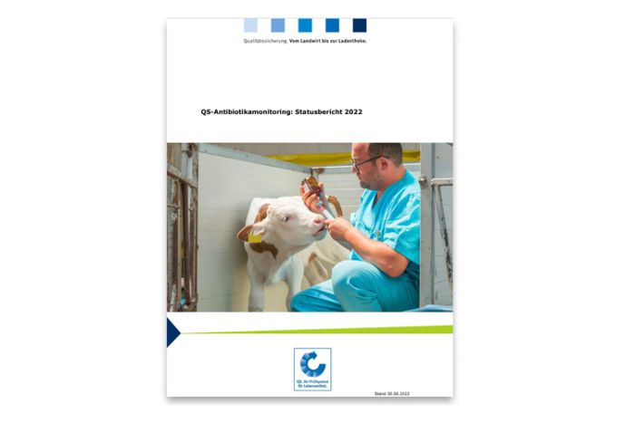 Teaser 4 Statusbericht ABM