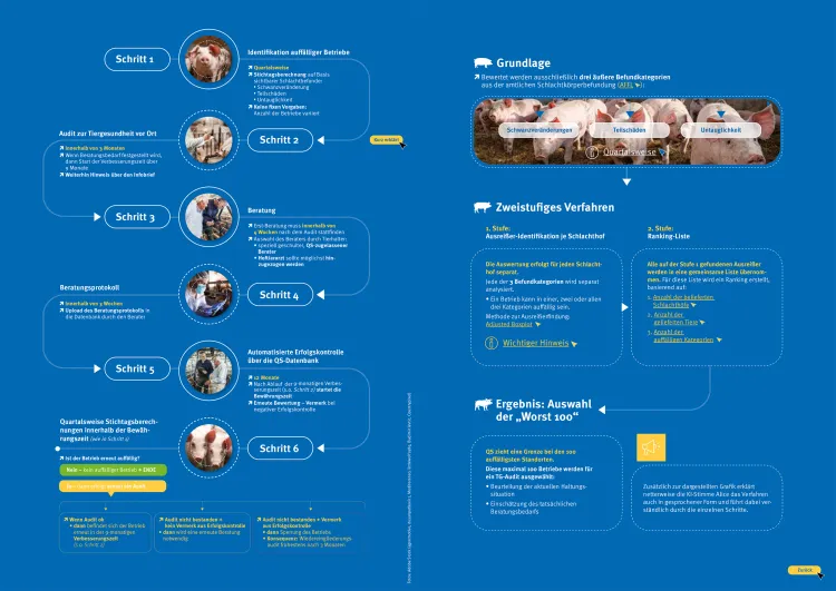 Zum Vergrößern auf die Grafik klicken