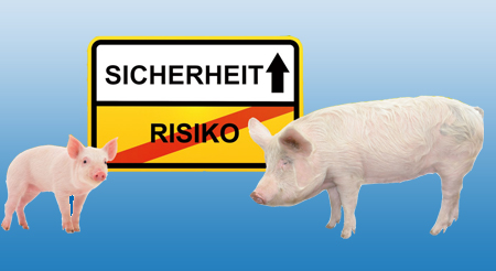 Teaser ASP Informationen