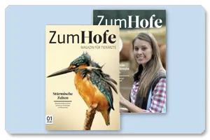 Teaser Zum Hofe Medienkatalog 1 2020